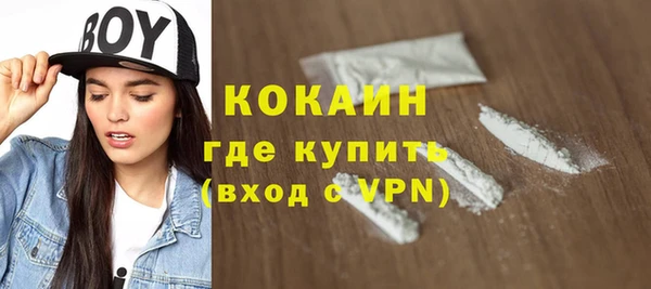 дживик Горняк