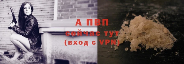 дживик Горняк