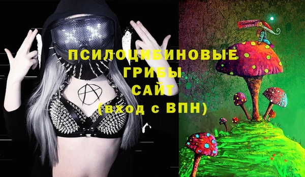 дживик Горняк