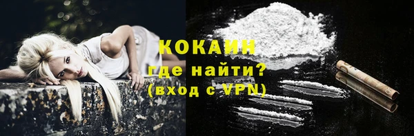 твердый Горно-Алтайск