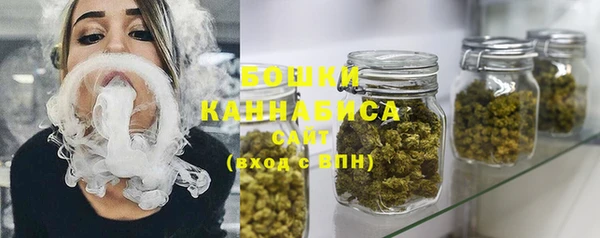 дживик Горняк